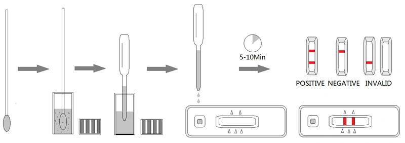 Veterinary Aiv Rapid Test Avian Influenza Virus Antigen Aiv Rapid Diagnostic Test