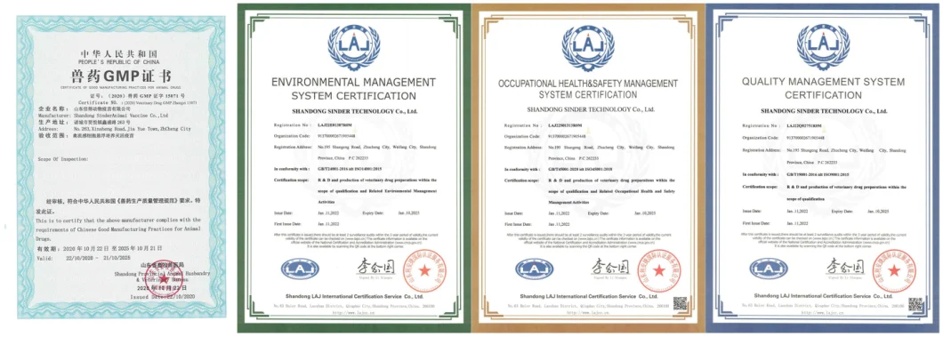 Veterinary Vaccine Reassortant Avian Influenza Virus H5 Vaccine Inactivated Vaccine (Cell Source, H5N6 Strain H5-Re13+H5N8 H5-Re14) for Bird Use