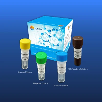 Kit per il rilevamento dell'acido nucleico per i virus dell'influenza aviaria